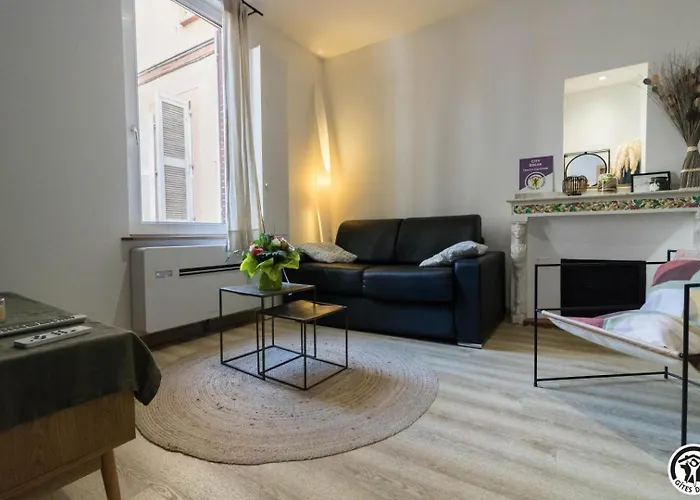 La Petite Chartreuse Toulousaine Appartamento