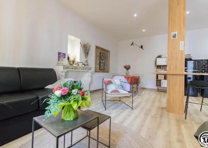 La Petite Chartreuse Toulousaine Apartamento Toulouse