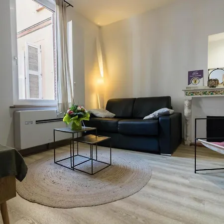 La Petite Chartreuse Toulousaine Διαμέρισμα